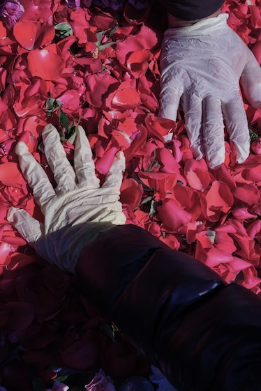 two medical gloved hands touching a grave stone covered in rose petals
