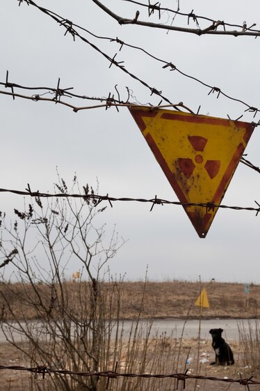 A dog is seen through the large gaps in a barbed-wire fence, from which hangs a yellow and red radiation warning sign.