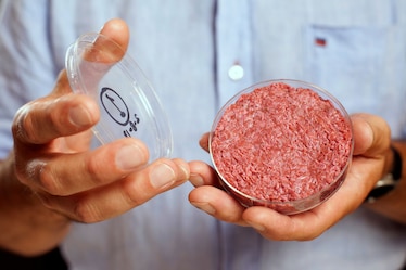two hands hold a petri dish with beef burger